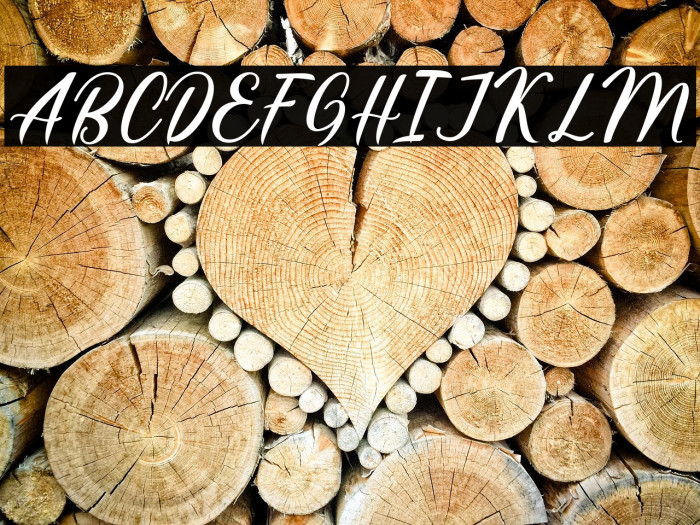 HatiaScript Example 3