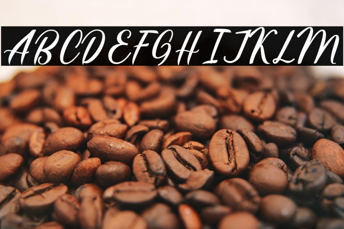 HatiaScript Example 2