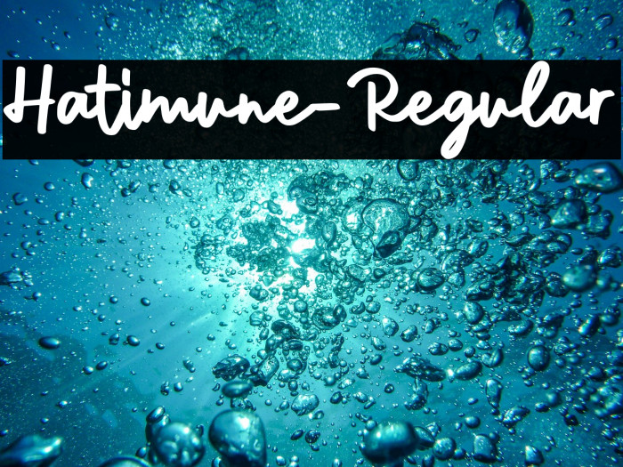 Hatimune-Regular Example 1