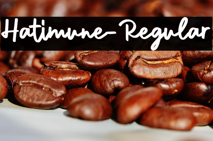 Hatimune-Regular Example 2