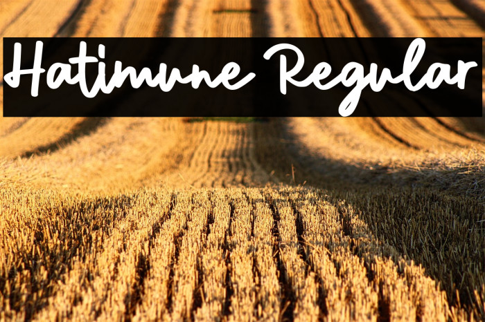 Hatimune Regular Example 2