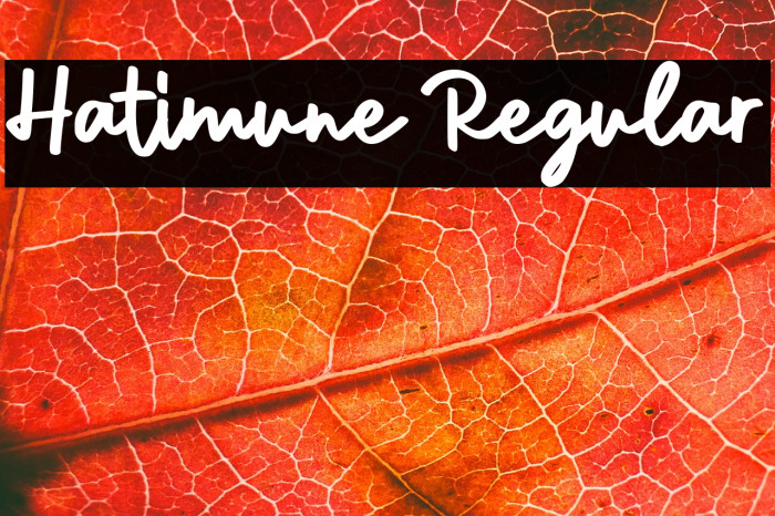 Hatimune Regular Example 3