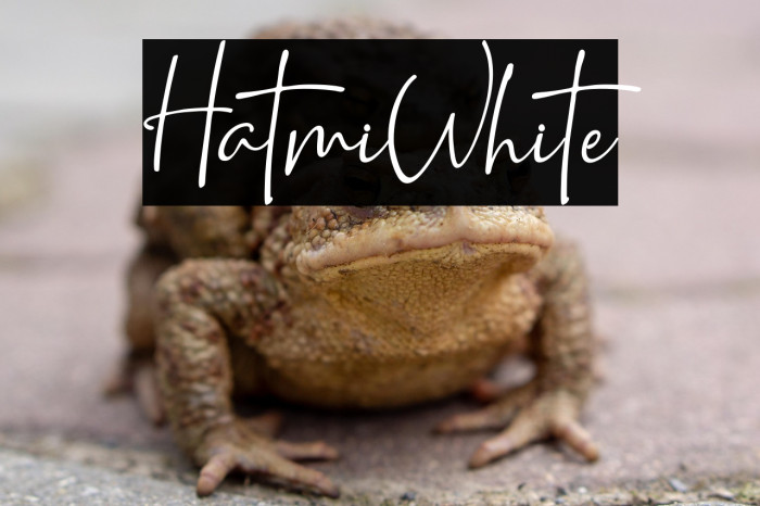 HatmiWhite Example 1