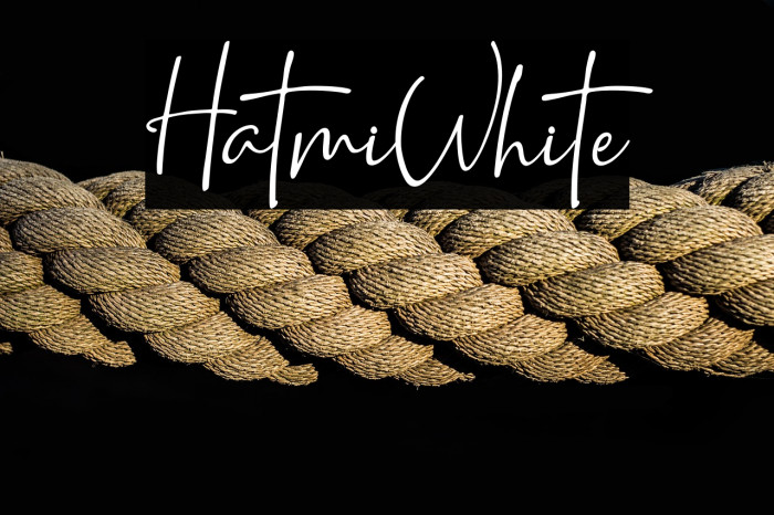 HatmiWhite Example 2