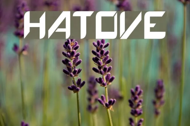 Hatove Example 3