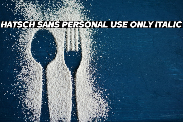 Hatsch Sans PERSONAL USE ONLY Italic Example 1