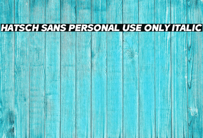 Hatsch Sans PERSONAL USE ONLY Italic Example 2