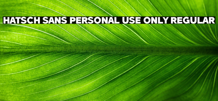 Hatsch Sans PERSONAL USE ONLY Regular Example 2