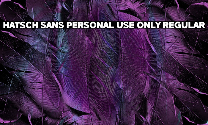 Hatsch Sans PERSONAL USE ONLY Regular Example 3