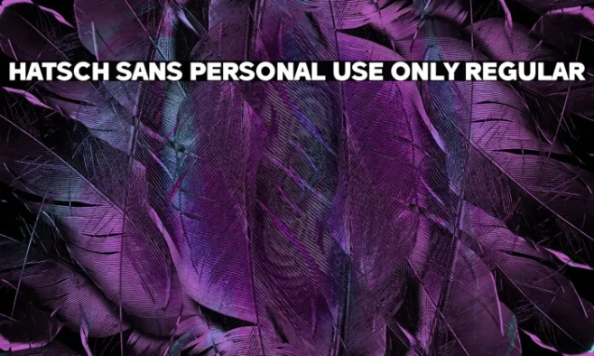 Hatsch Sans PERSONAL USE ONLY Regular Example 3
