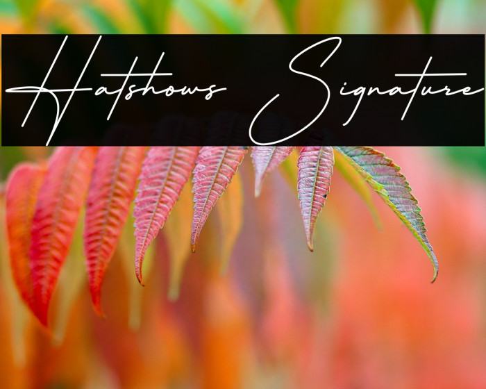 Hatshows Signature Example 2