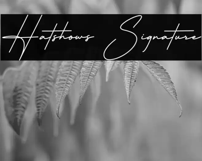 Hatshows Signature फ़ॉन्ट examples