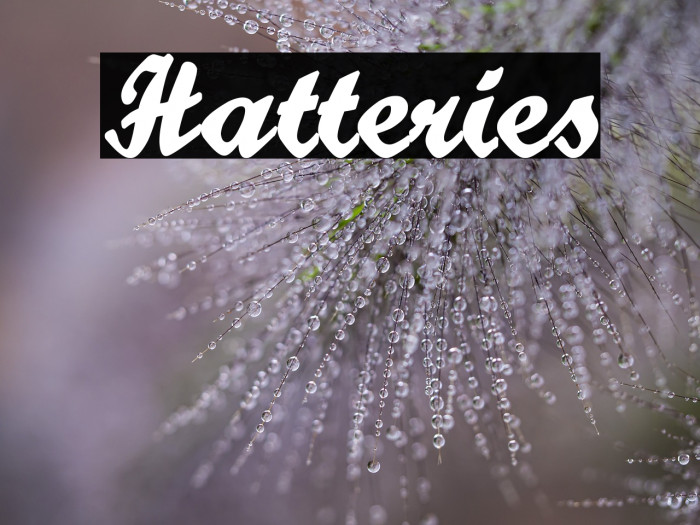 Hatteries Example 3