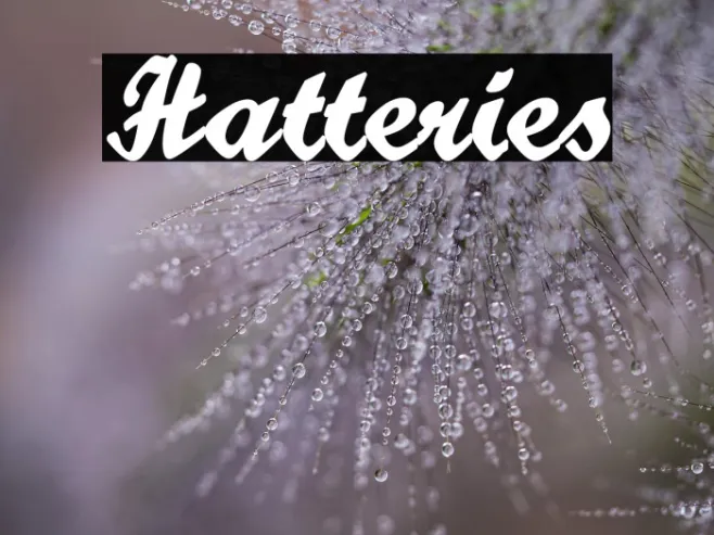 Hatteries Example 3