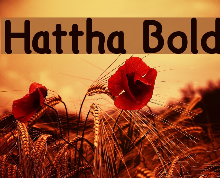 Hattha Bold Font examples