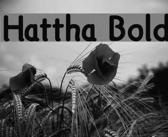 Hattha Bold फ़ॉन्ट examples