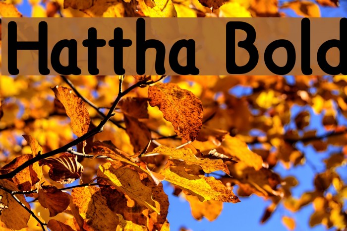 Hattha Bold Font examples