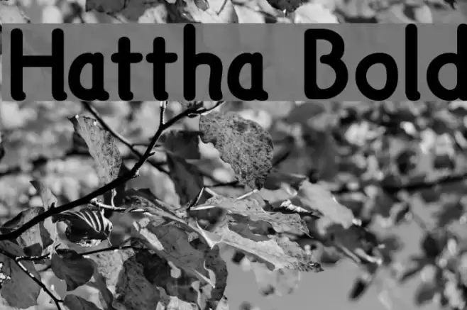 Hattha Bold फ़ॉन्ट examples