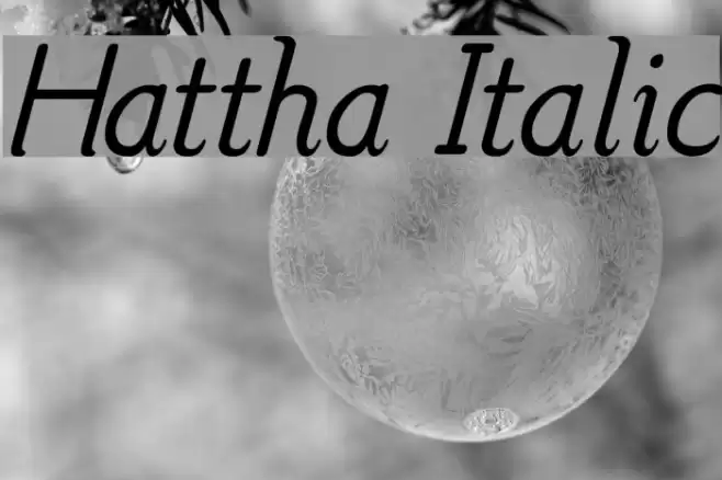 Hattha Italic Font examples