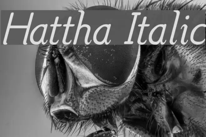Hattha Italic Font examples