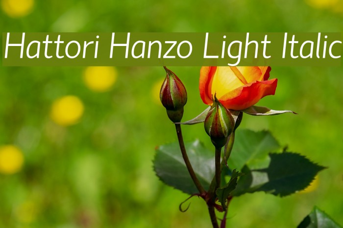 Hattori Hanzo Light Italic Font examples