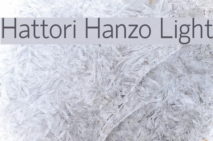 Hattori Hanzo Light Font examples