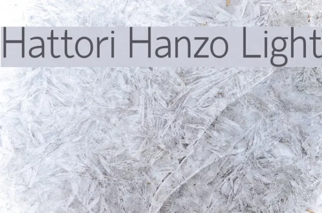Hattori Hanzo Light Example 2