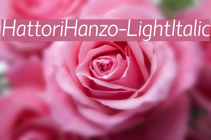 HattoriHanzo-LightItalic Font examples