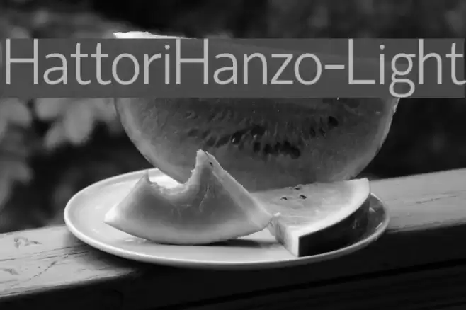 HattoriHanzo-Light Font examples