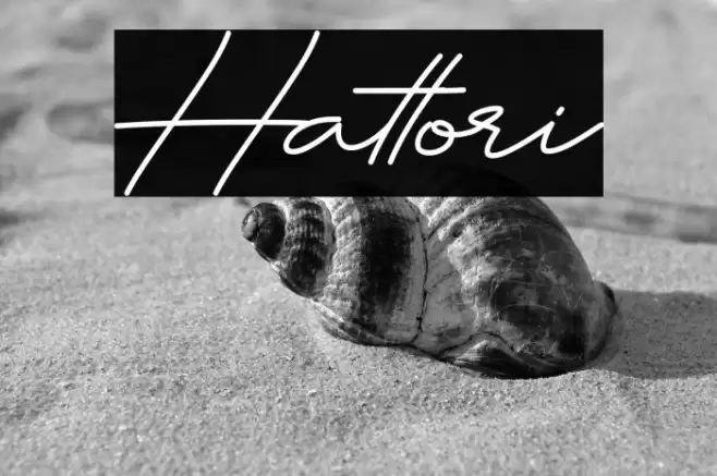 Hattori Polices examples