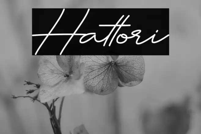 Hattori Polices examples