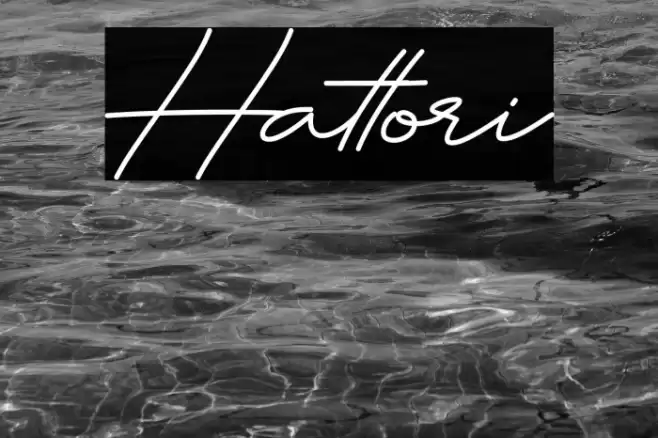 Hattori Polices examples