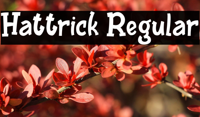 Hattrick Regular Example 3