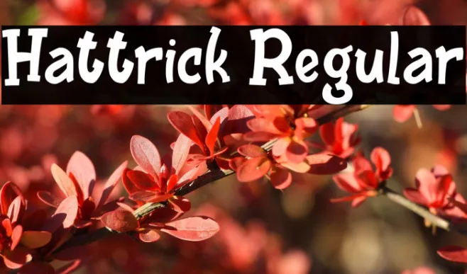 Hattrick Regular Example 3