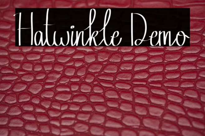Hatwinkle Demo Example 1