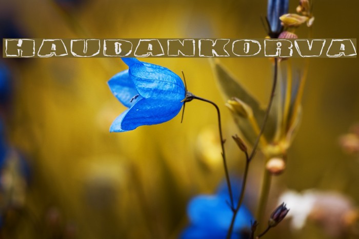 Haudankorva Font examples