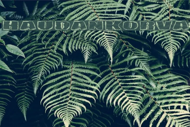 Haudankorva Example 3