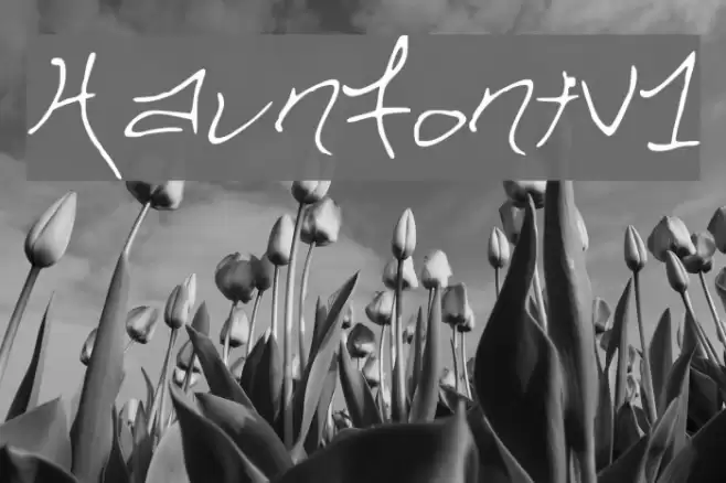 HaunFontV1 Font examples