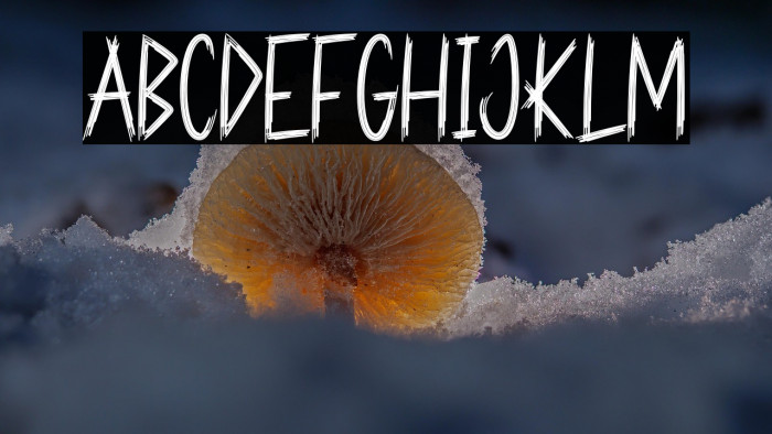 Haunted Castle Example 3