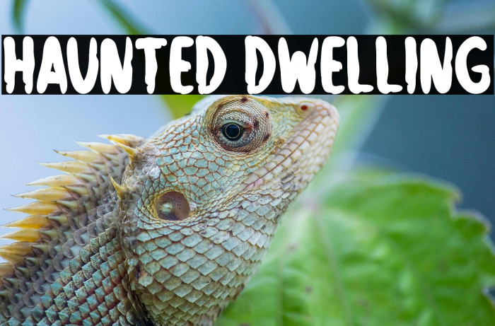 Haunted Dwelling Example 1