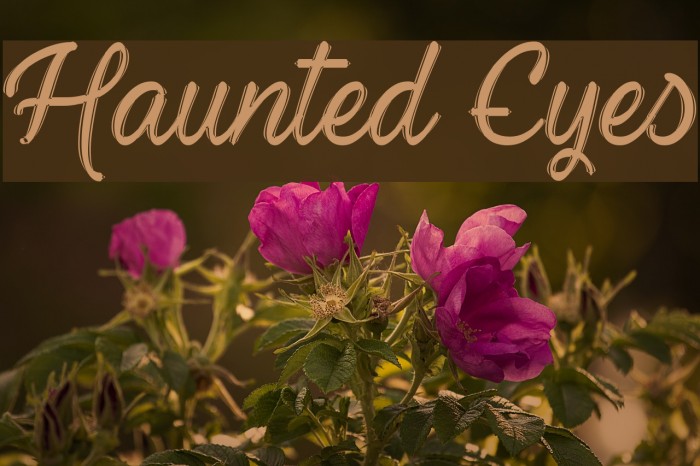 Haunted Eyes Font examples