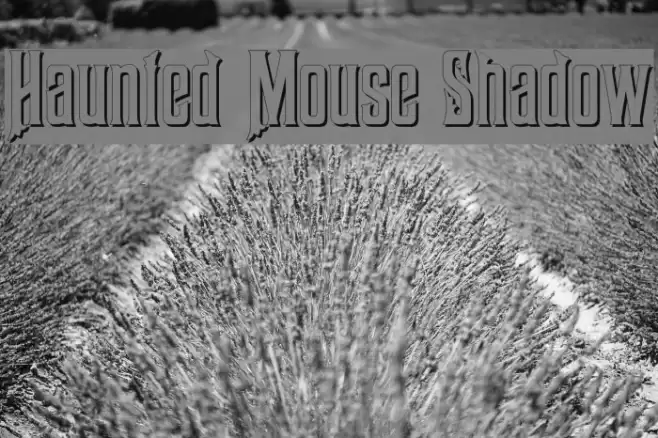 Haunted Mouse Shadow Font examples