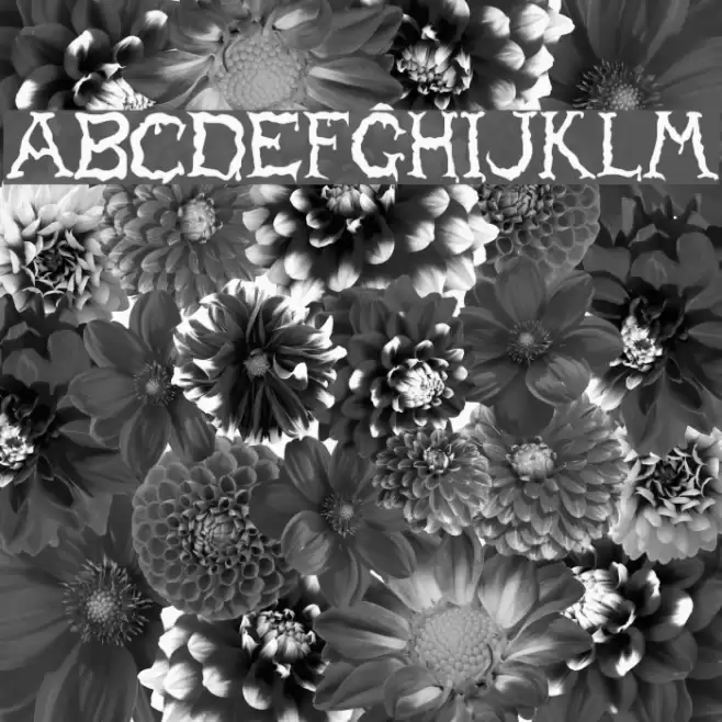 Haunted Regular Caratteri examples