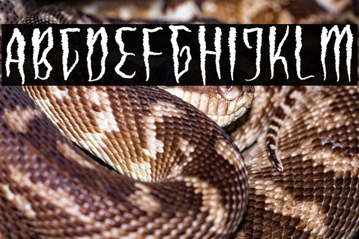 Haunted Vampire Example 3