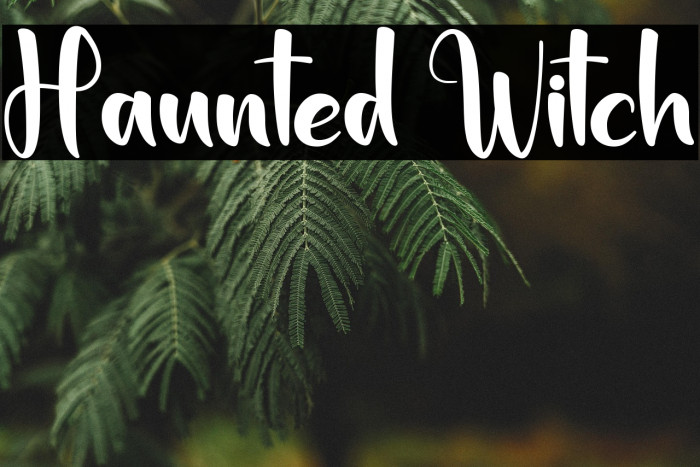 Haunted Witch Example 3