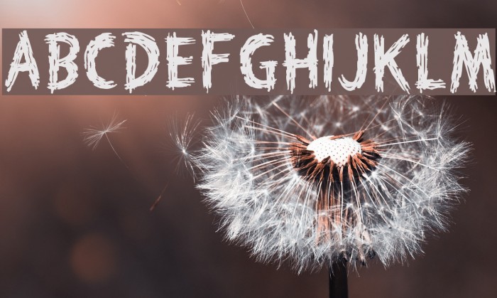 HauntedHouse Example 3