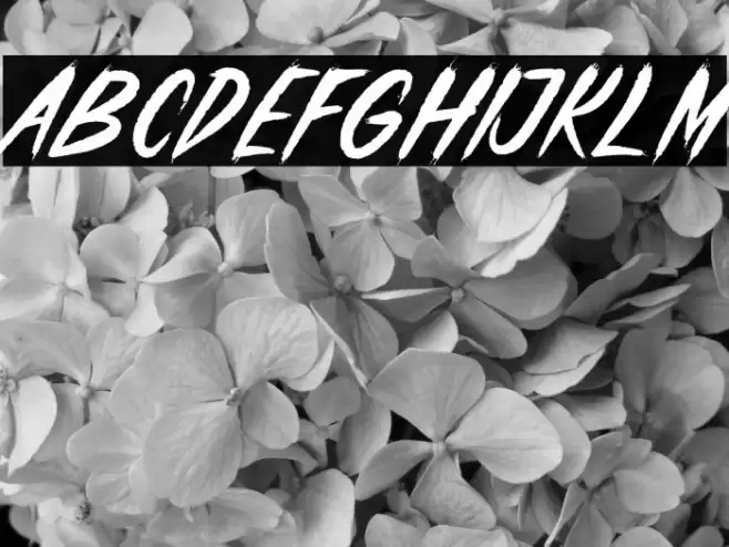 Haunter Font examples