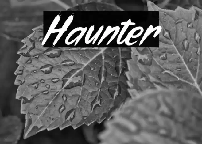 Haunter Font examples