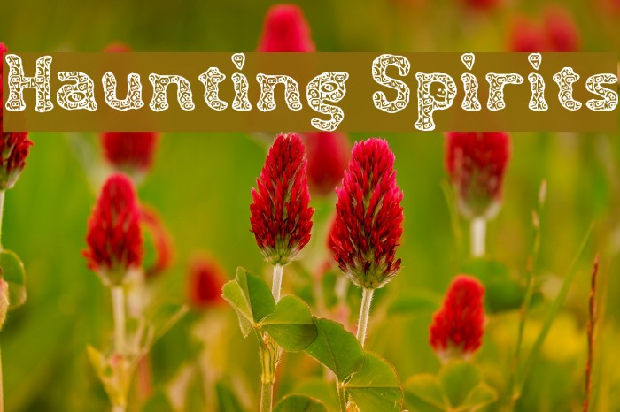 Haunting Spirits Font examples