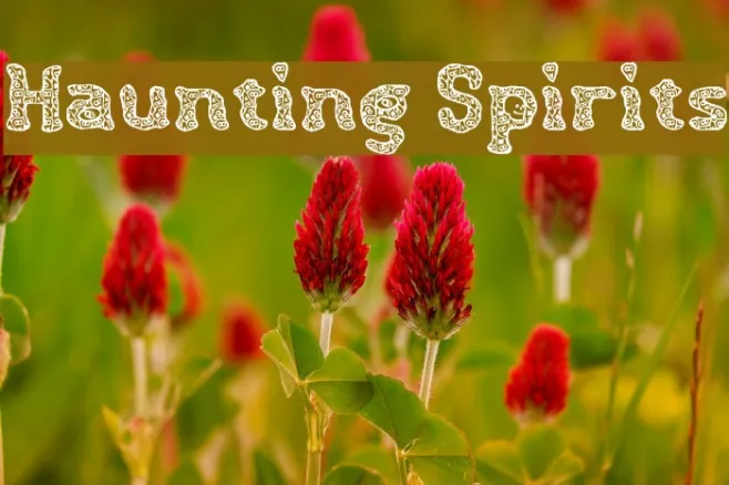 Haunting Spirits Example 3